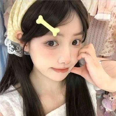 美国豚鼠